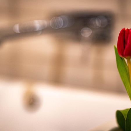Logis Hotel Quartier 5, Saechsische Schweiz, Mit Restaurant, Cafe & Bar クロルト・ゴーリッシュ エクステリア 写真