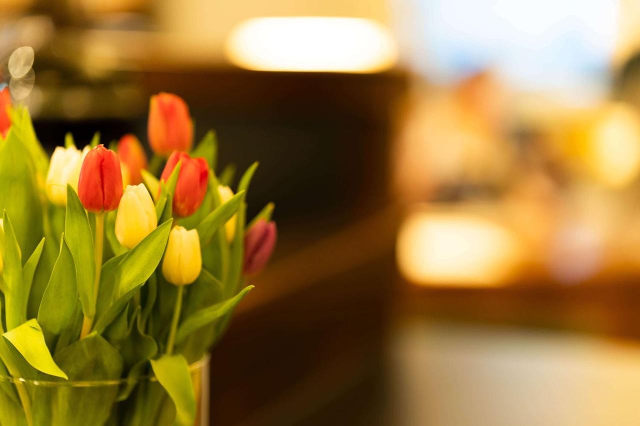 Logis Hotel Quartier 5, Saechsische Schweiz, Mit Restaurant, Cafe & Bar クロルト・ゴーリッシュ エクステリア 写真
