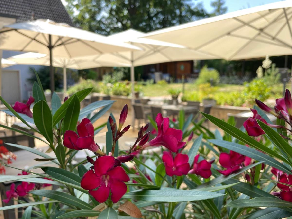 Logis Hotel Quartier 5, Saechsische Schweiz, Mit Restaurant, Cafe & Bar クロルト・ゴーリッシュ エクステリア 写真