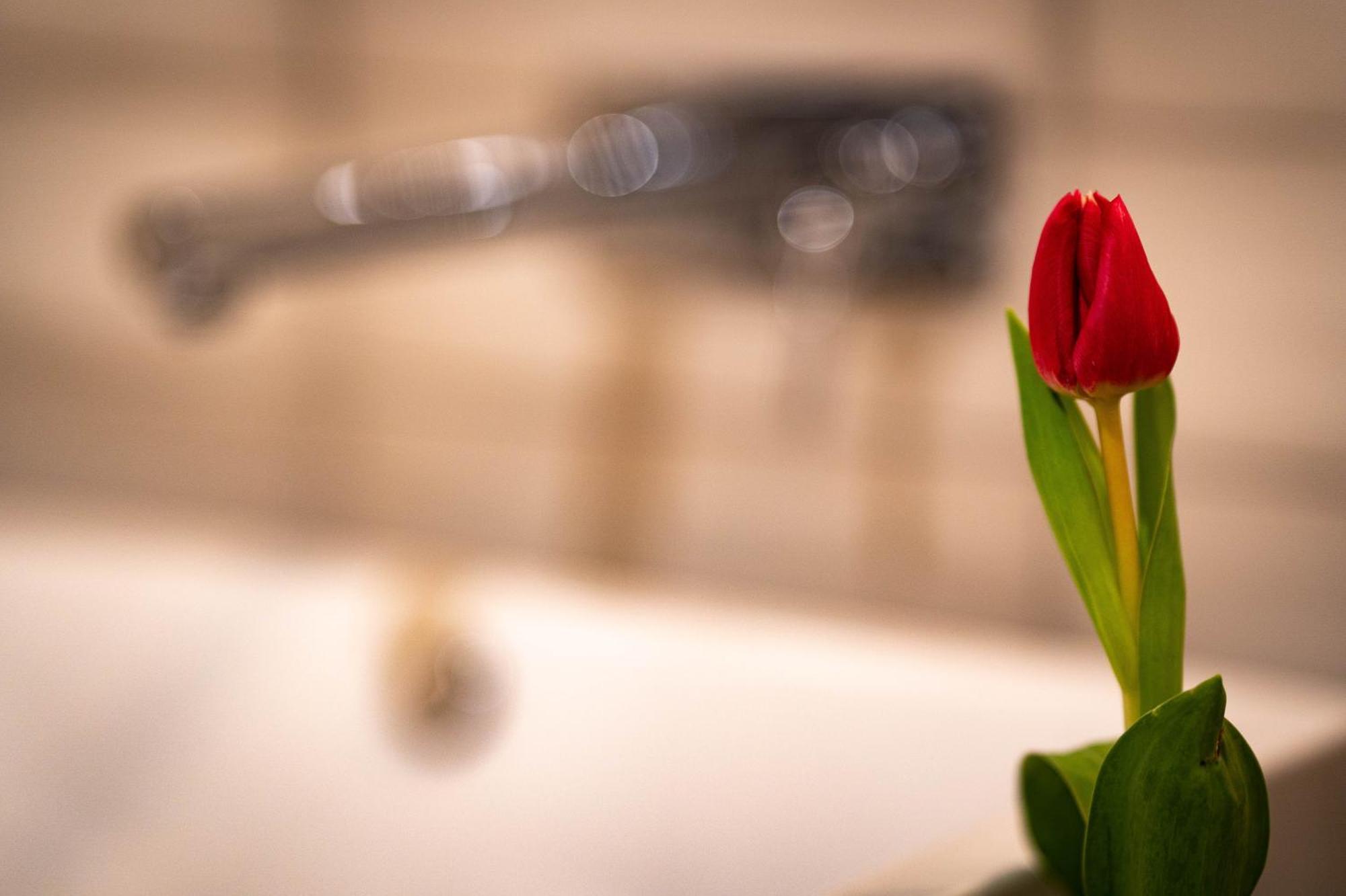 Logis Hotel Quartier 5, Saechsische Schweiz, Mit Restaurant, Cafe & Bar クロルト・ゴーリッシュ エクステリア 写真